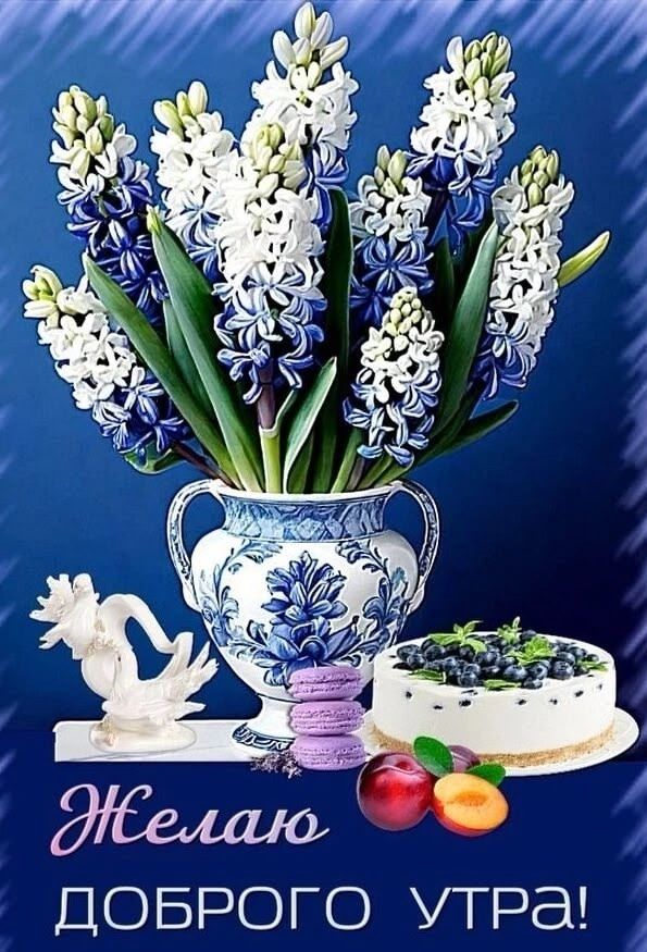 Желаю ДОБРОГО УТРА!