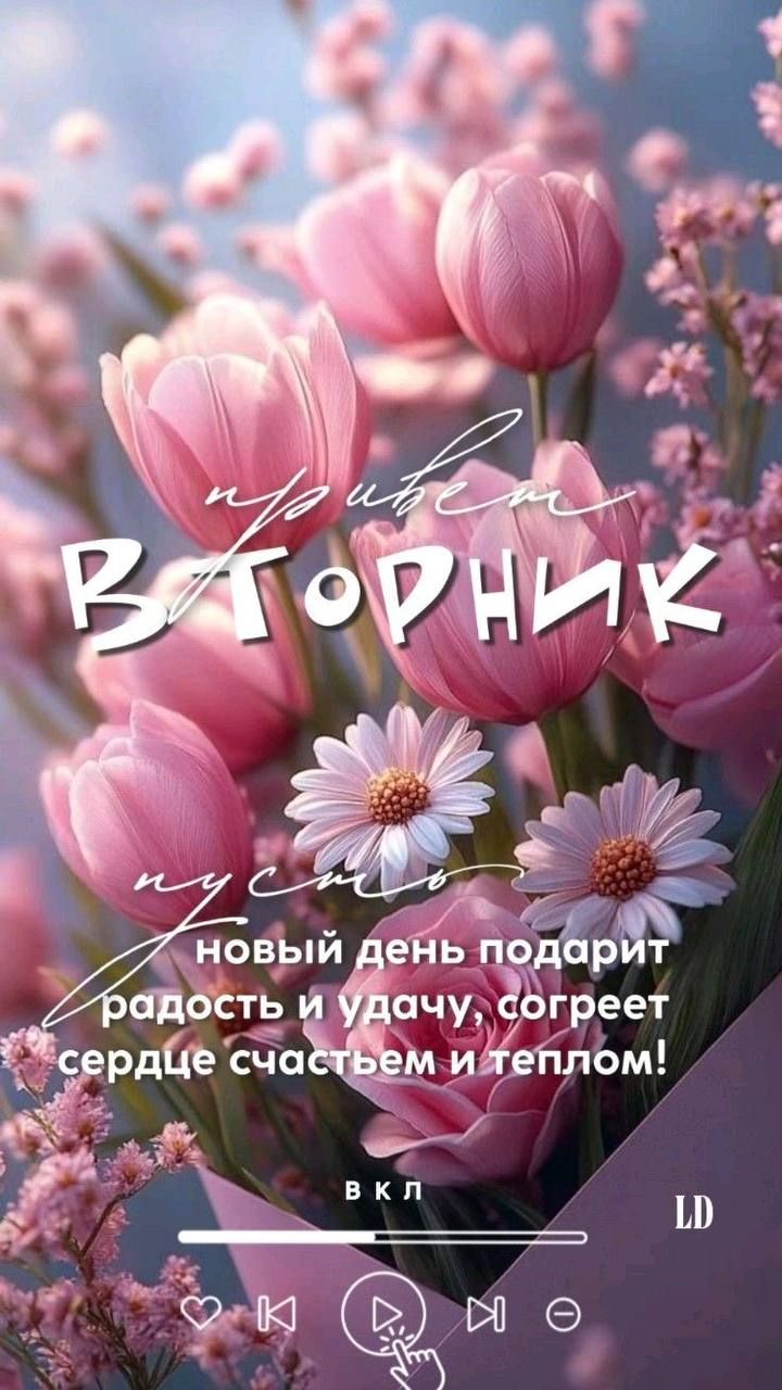Привет Вторник! Пусть новый день подарит радость и удачу, согреет сердце счастьем и теплом! ВКЛ LD