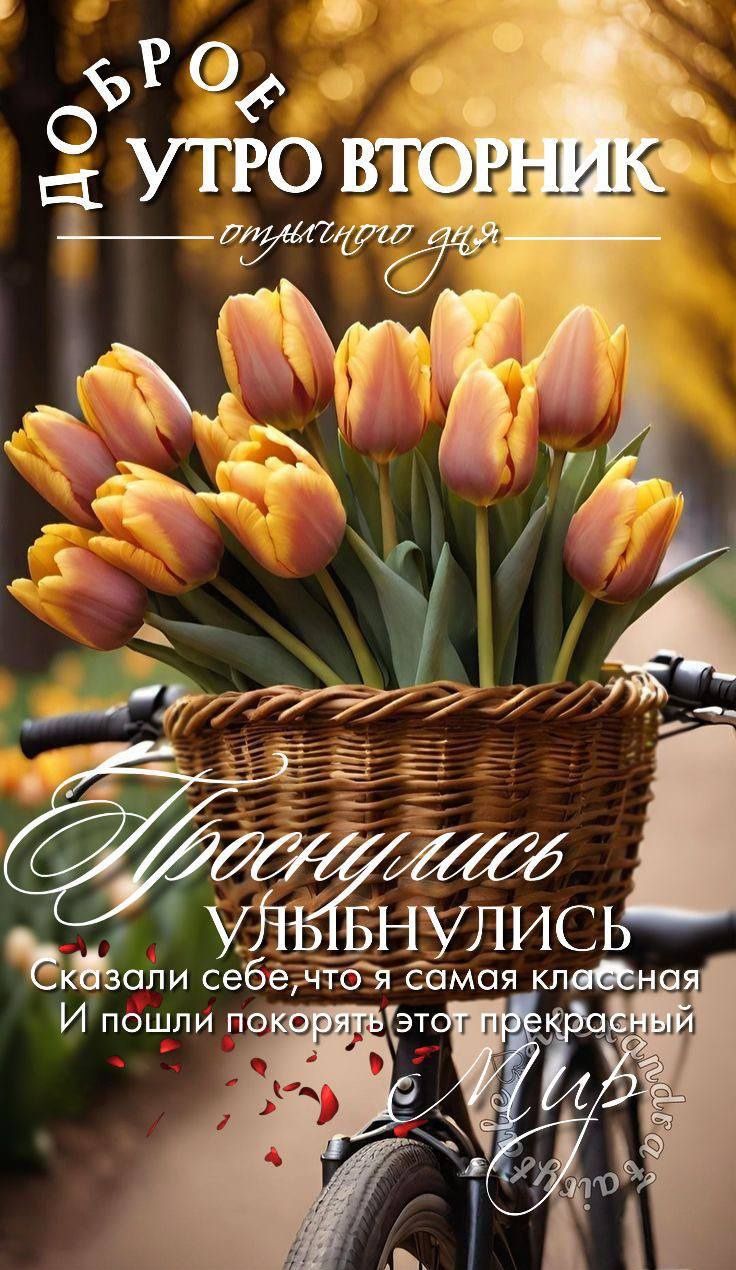 ДОБРОЕ УТРО ВТОРНИК отличного дня Проснулись УЛЫБНУЛИСЬ Сказали себе, что я самая классная И пошли покорять этот прекрасный Мир
