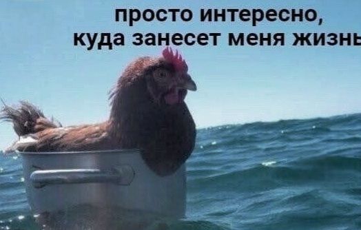 просто интересно, куда занесет меня жизнь