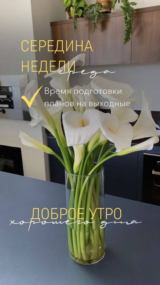СЕРЕДИНА НЕДЕЛИ среда Время подготовки планов на выходные ДОБРОЕ УТРО хорошего дня