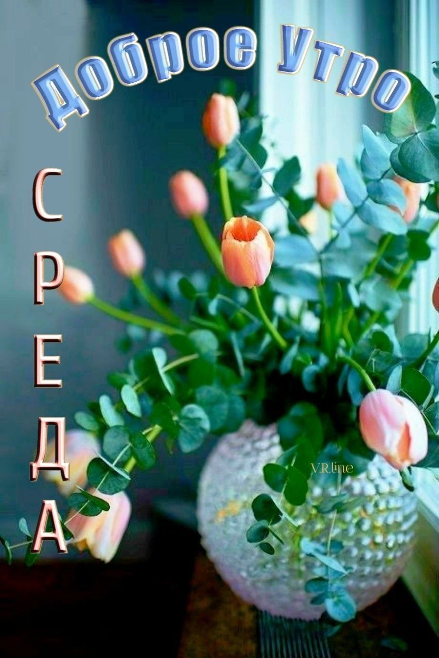 Доброе Утро СРЕДА V.R.line