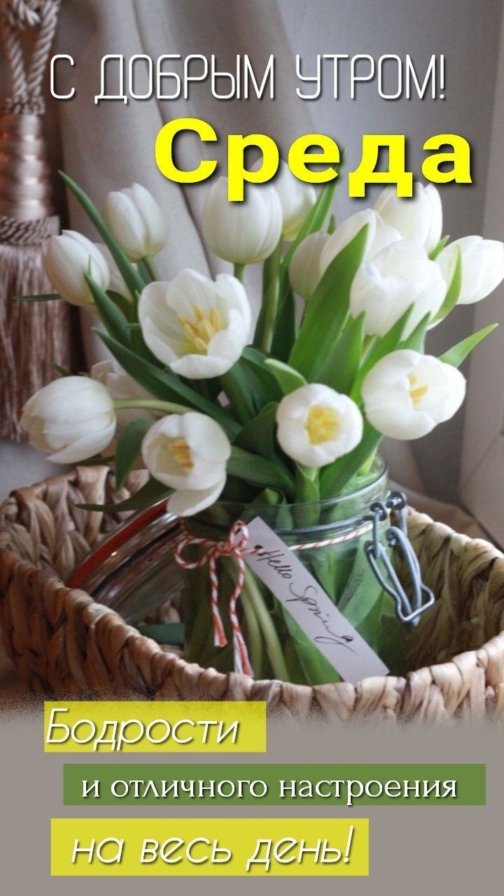 С ДОБРЫМ УТРОМ! Среда Бодрости и отличного настроения на весь день!