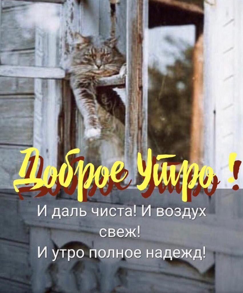Доброе Утро! И даль чиста! И воздух свеж! И утро полное надежд!