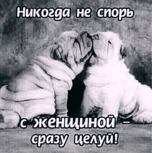 Никогда не спорь с женщиной - сразу целуй!