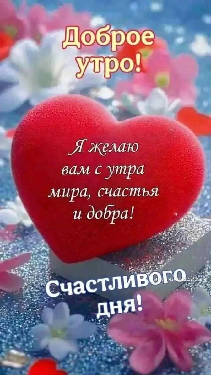 Доброе утро! Я желаю вам с утра мира, счастья и добра! Счастливого дня!
