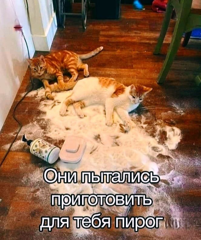 Они пытались приготовить для тебя пирог