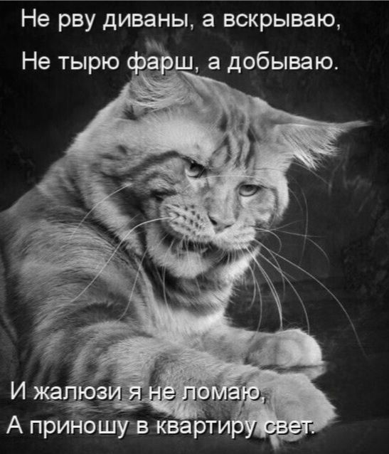 Не рву диваны, а вскрываю,
Не тырю фарш, а добываю.
И жалюзи я не ломаю,
А приношу в квартиру свет.