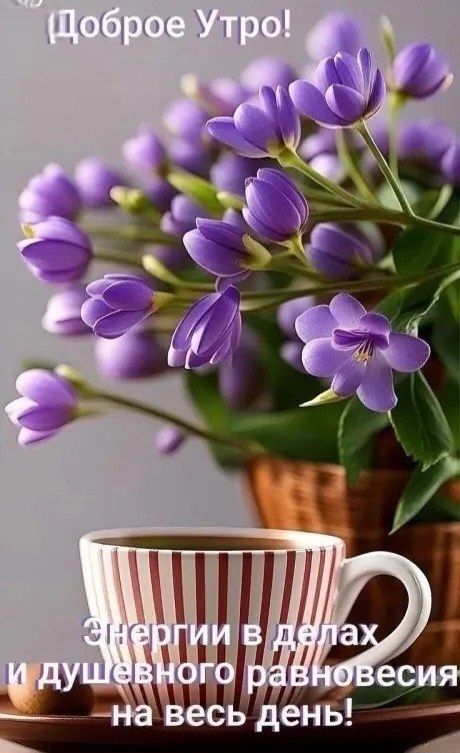 Доброе Утро! Энергии в делах и душевного равновесия на весь день!