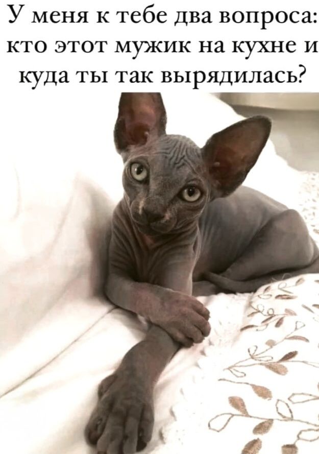 У меня к тебе два вопроса: кто этот мужик на кухне и куда ты так вырядилась?