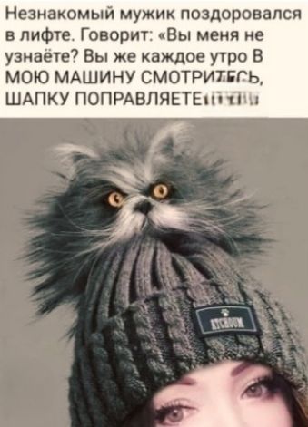 Незнакомый мужик поздоровался в лифте. Говорит: «Вы меня не узнаёте? Вы же каждое утро В МОЮ МАШИНУ СМОТРИТЕСЬ, ШАПКУ ПОПРАВЛЯЕТЕ»