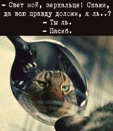 - Свет мой, зеркальце! Скажи, да всю правду доложи, я ль..? - Ты ль. - Пасиб.