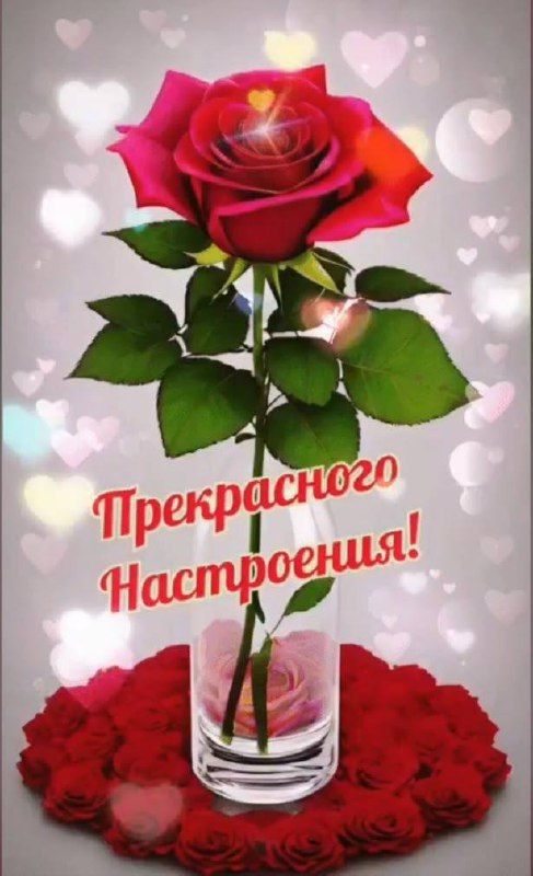 Прекрасного Настроения!