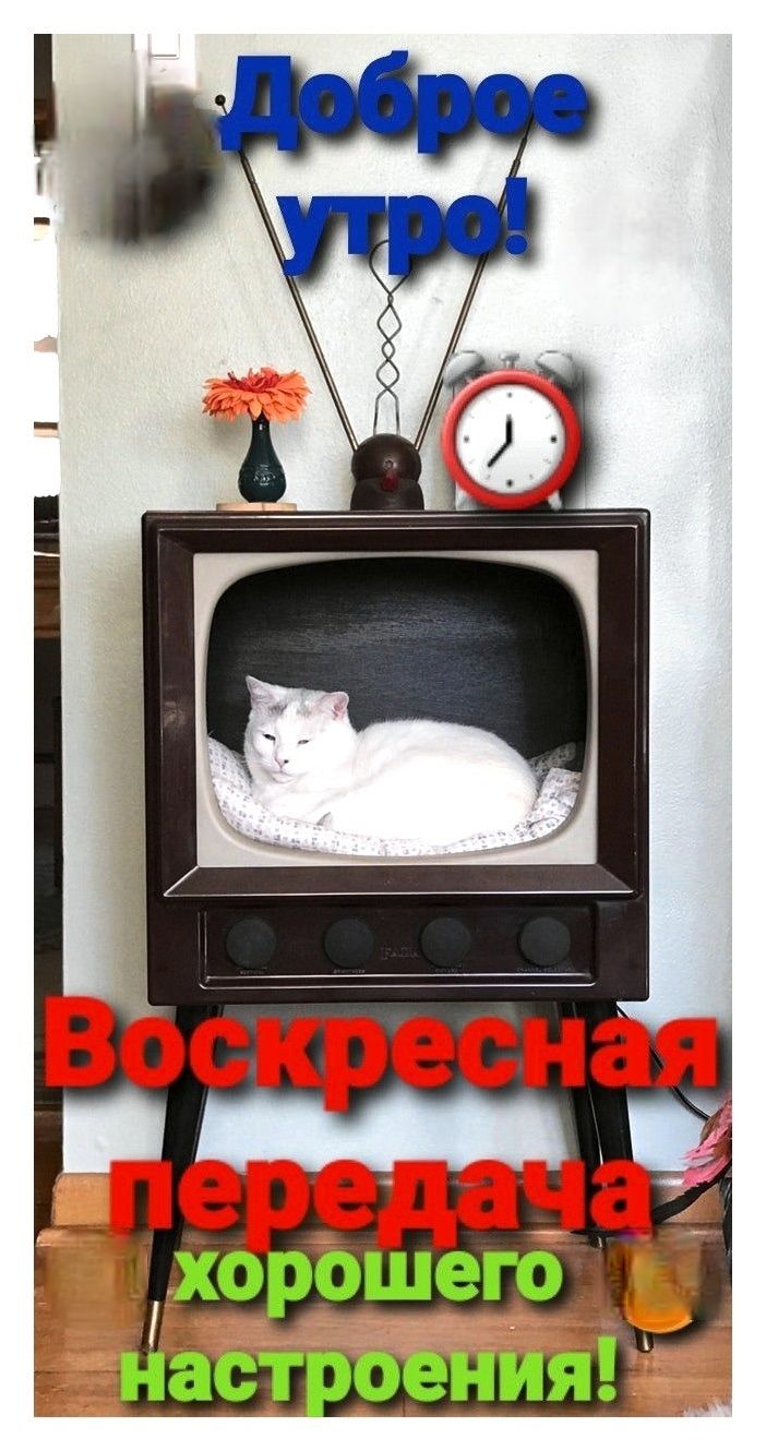 Доброе утро! Воскресная передача хорошего настроения!