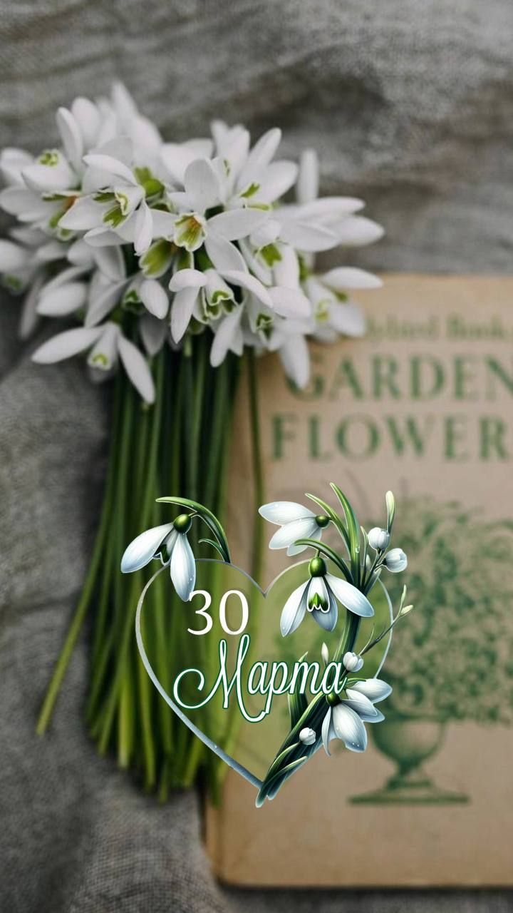 30 Марта. GARDEN FLOWER