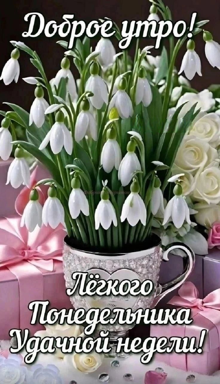 Доброе утро! Лёгкого Понедельника Удачной недели!