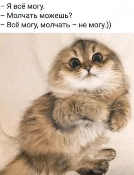 – Я всё могу.
– Молчать можешь?
– Всё могу, молчать – не могу.))