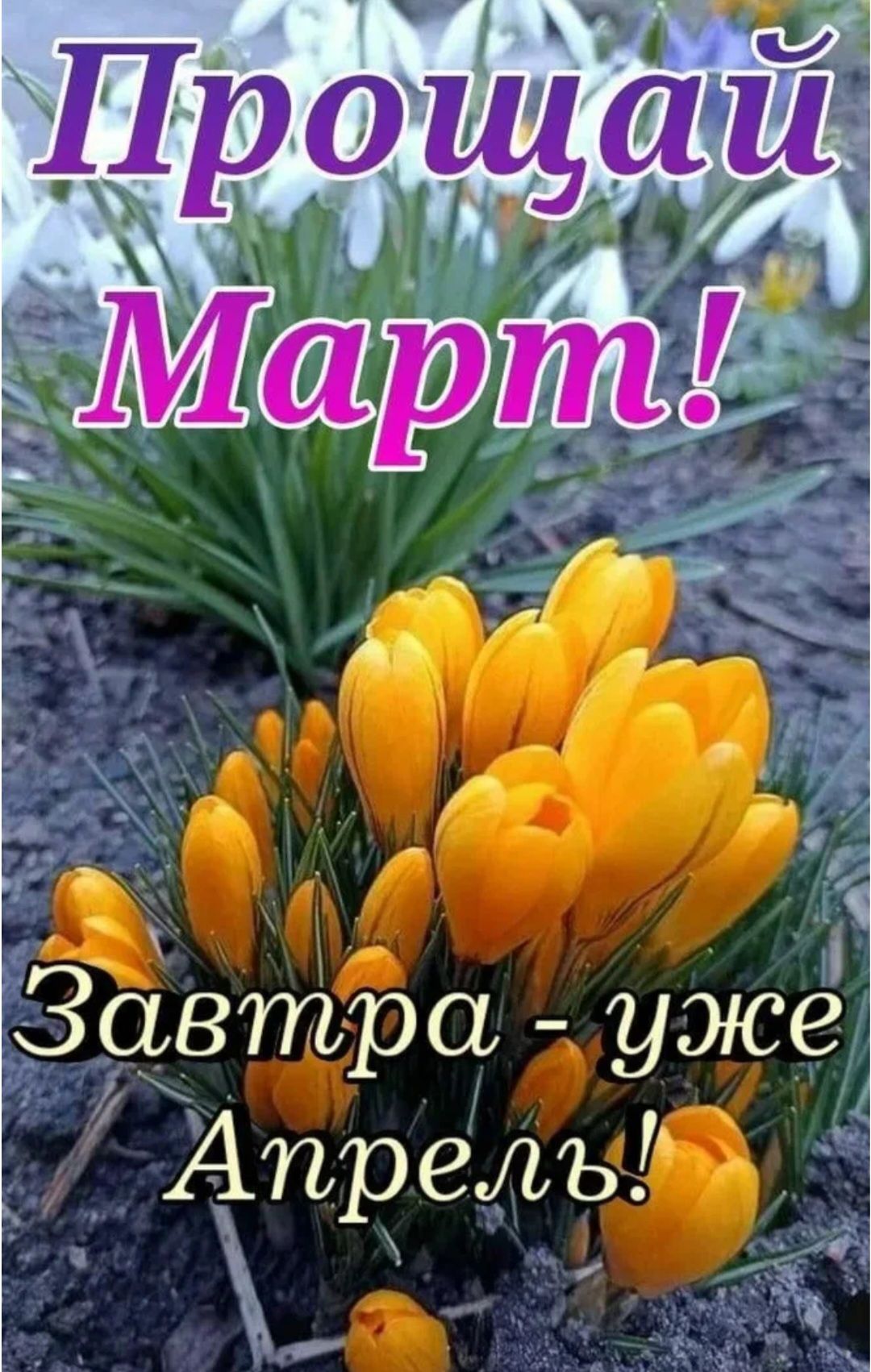 Прощай Март! Завтра - уже Апрель!