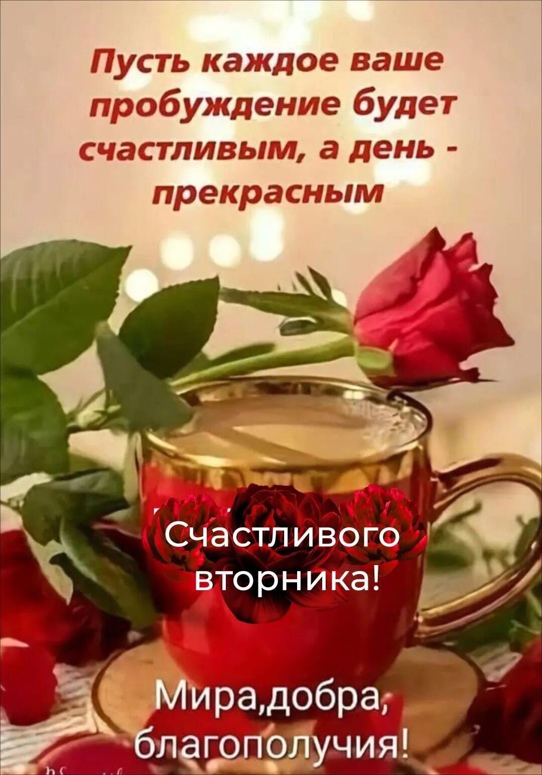 Пусть каждое ваше пробуждение будет счастливым, а день - прекрасным. Счастливого вторника! Мира, добра, благополучия!