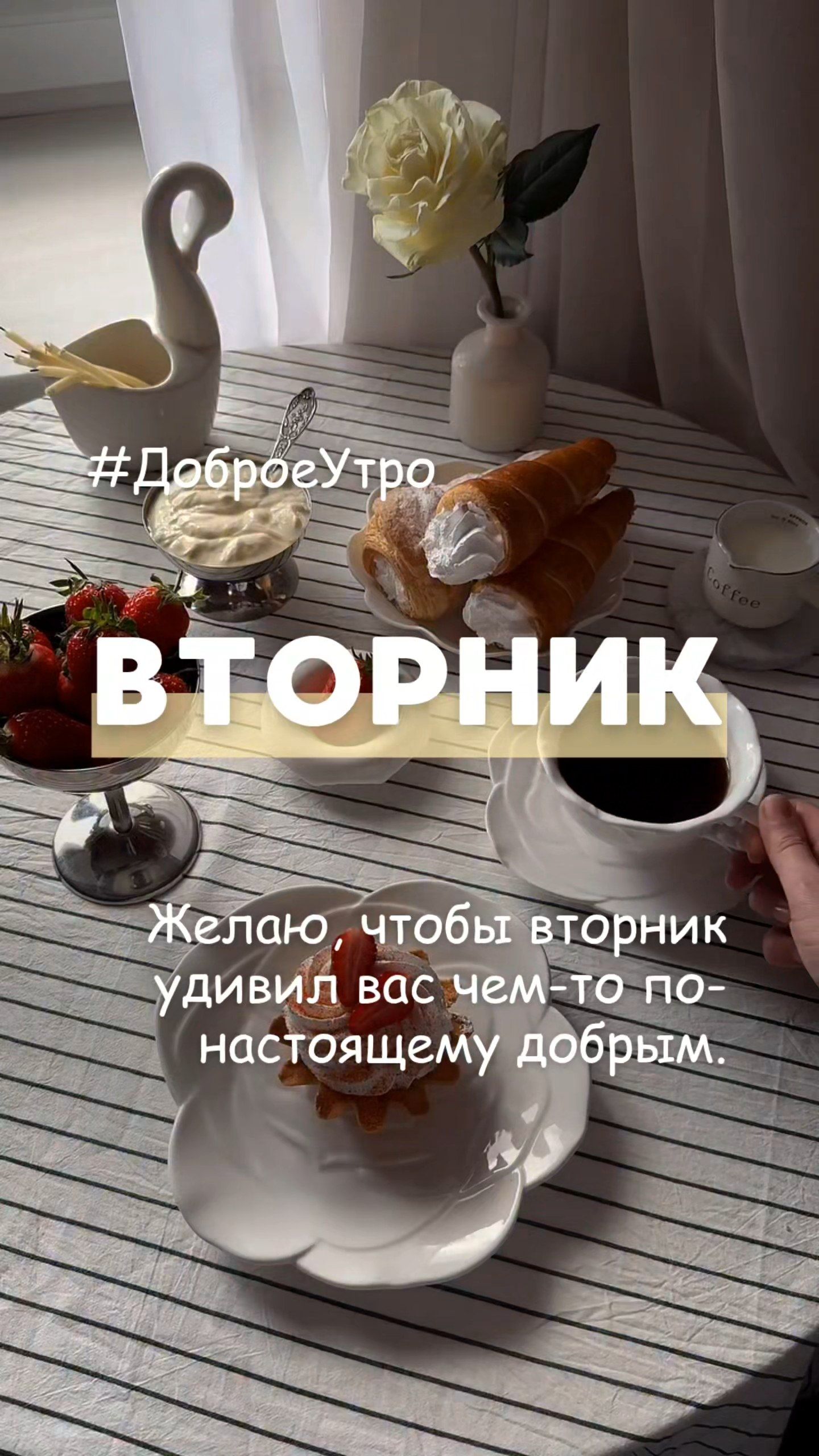 Доброе Утро ВТОРНИК Желаю, чтобы вторник удивил вас чем-то по-настоящему добрым.