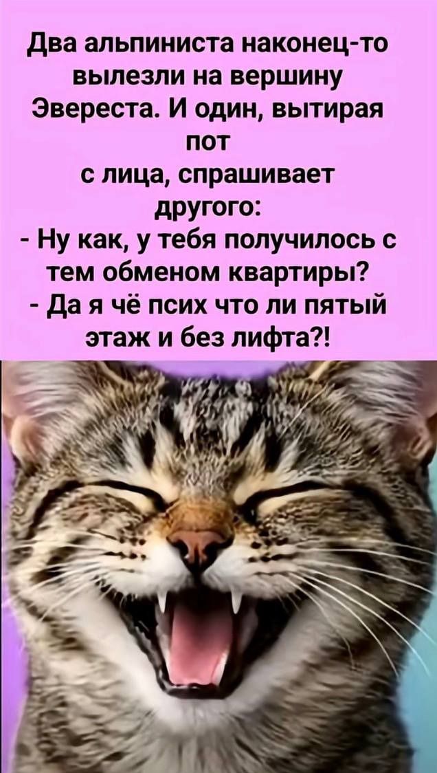 Два альпиниста наконец-то вылезли на вершину Эвереста. И один, вытирая пот с лица, спрашивает другого: - Ну как, у тебя получилось с тем обменом квартиры? - Да я чё псих что ли пятый этаж и без лифта?!