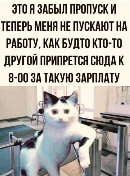 ЭТО Я ЗАБЫЛ ПРОПУСК И ТЕПЕРЬ МЕНЯ НЕ ПУСКАЮТ НА РАБОТУ, КАК БУДТО КТО-ТО ДРУГОЙ ПРИПРЕТСЯ СЮДА К 8-00 ЗА ТАКУЮ ЗАРПЛАТУ