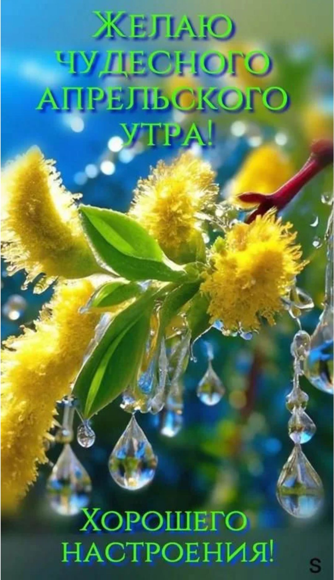 ЖЕЛАЮ ЧУДЕСНОГО АПРЕЛЬСКОГО УТРА! ХОРОШЕГО НАСТРОЕНИЯ!