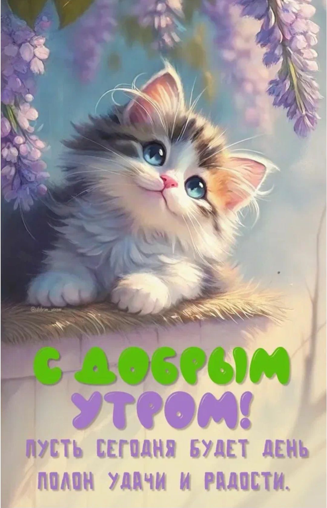 С ДОБРЫМ УТРОМ! ПУСТЬ СЕГОДНЯ БУДЕТ ДЕНЬ ПОЛОН УДАЧИ И РАДОСТИ.
