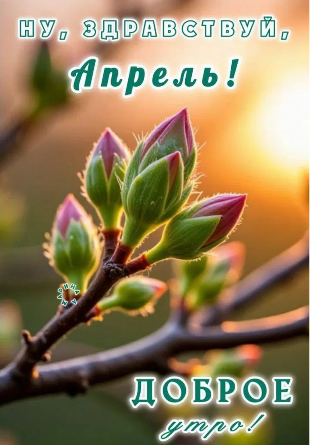 НУ, ЗДРАВСТВУЙ, Апрель! ДОБРОЕ утро!