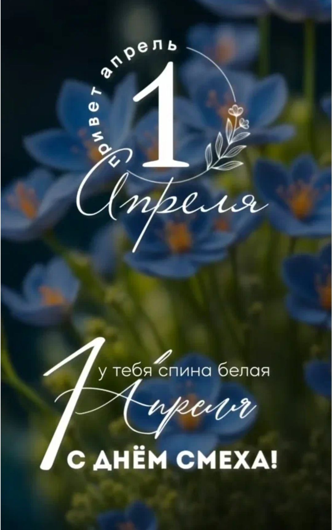 привет апрель 1 Апреля у тебя спина белая С ДНЁМ СМЕХА!