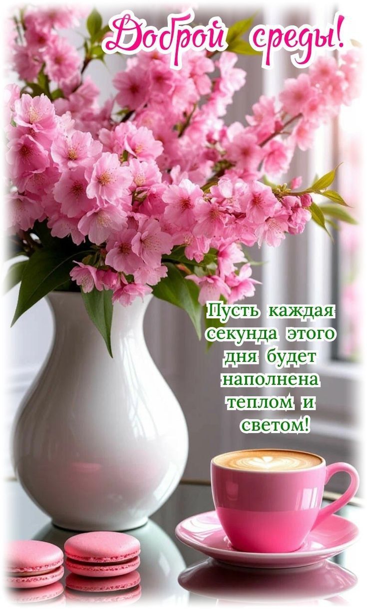 Доброй среды! Пусть каждая секунда этого дня будет наполнена теплом и светом!