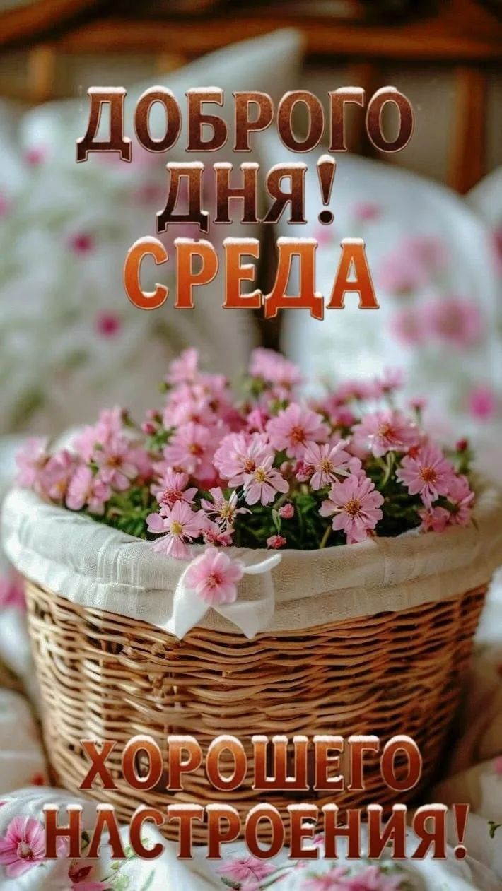 ДОБРОГО ДНЯ! СРЕДА ХОРОШЕГО НАСТРОЕНИЯ!