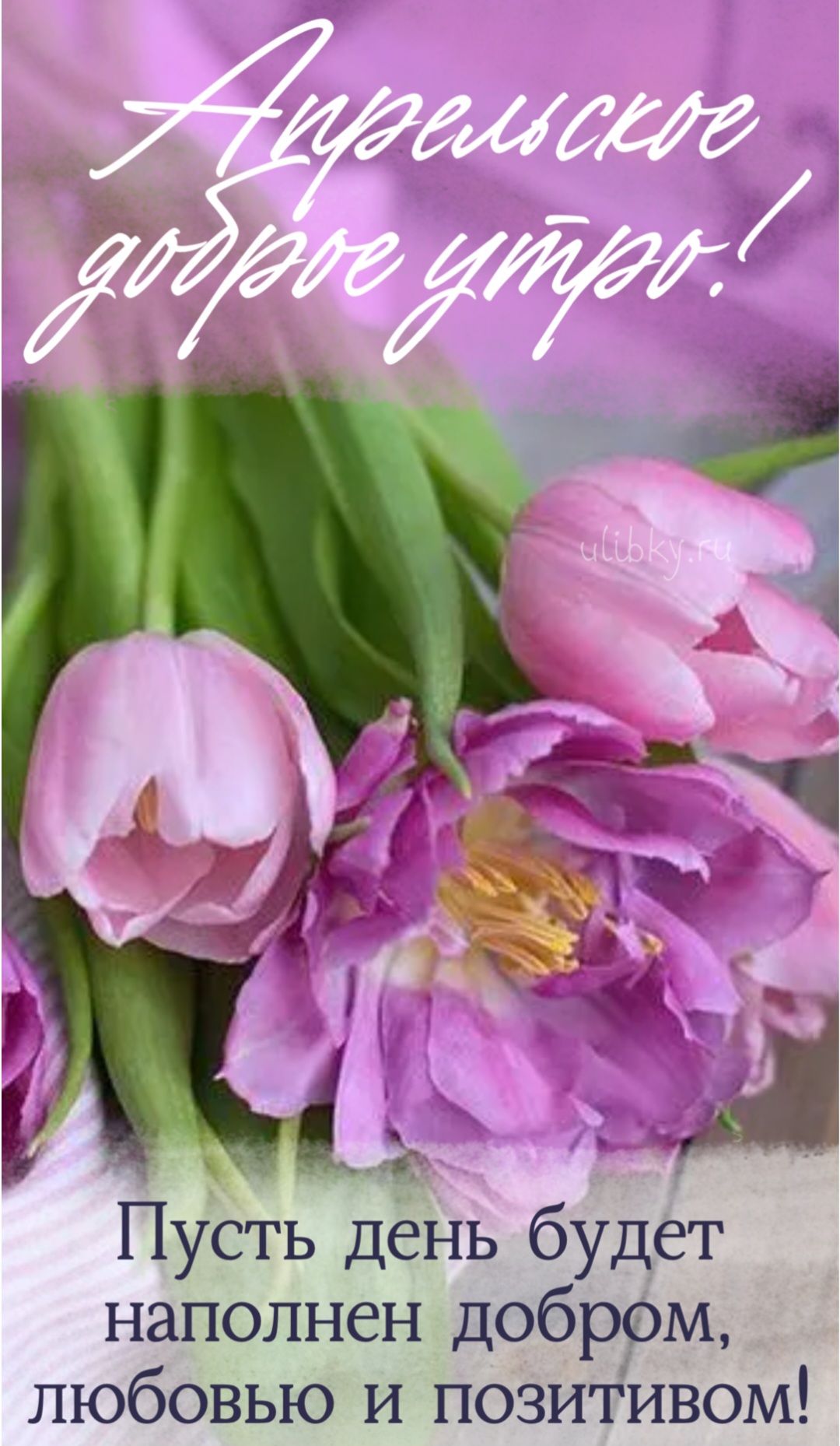 Апрельское доброе утро! ulibky.ru Пусть день будет наполнен добром, любовью и позитивом!