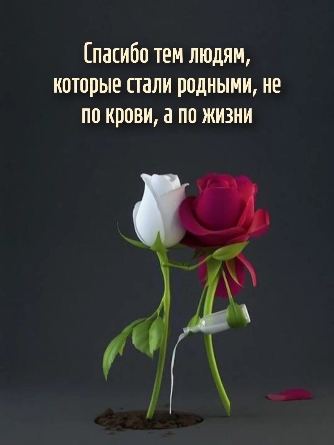 Спасибо тем людям, которые стали родными, не по крови, а по жизни