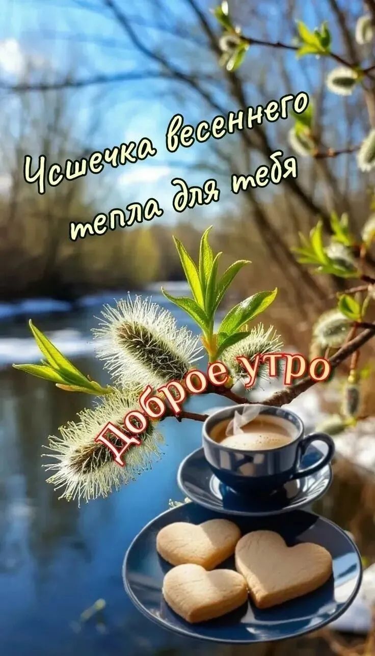 Чашечка весеннего тепла для тебя Доброе утро
