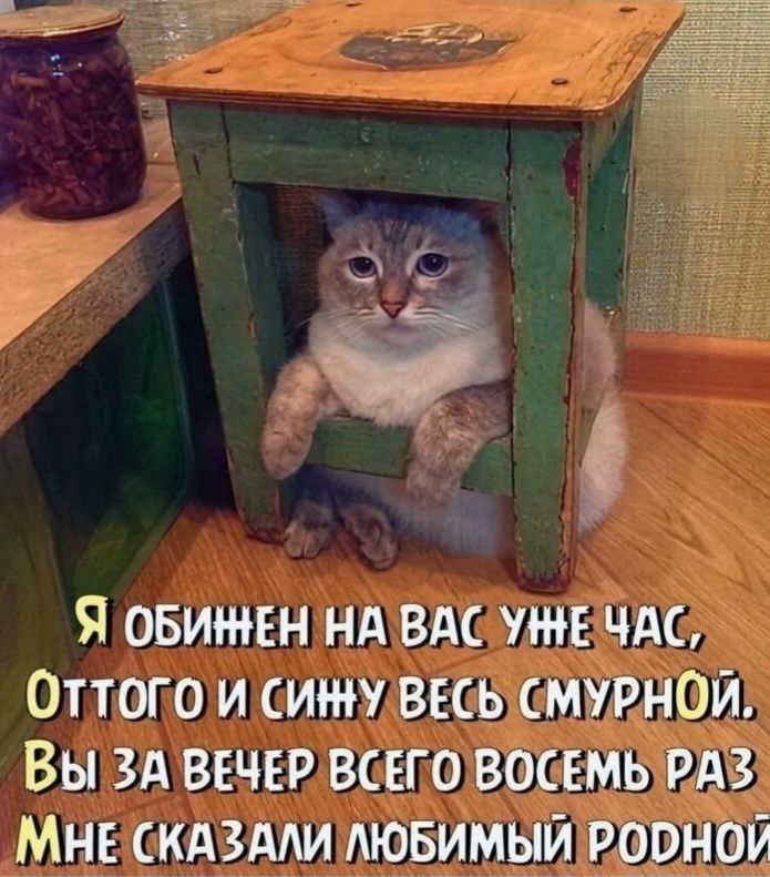Я обижен на вас уже час, Оттого и сижу весь смурной. Вы за вечер всего восемь раз Мне сказали любимый родной