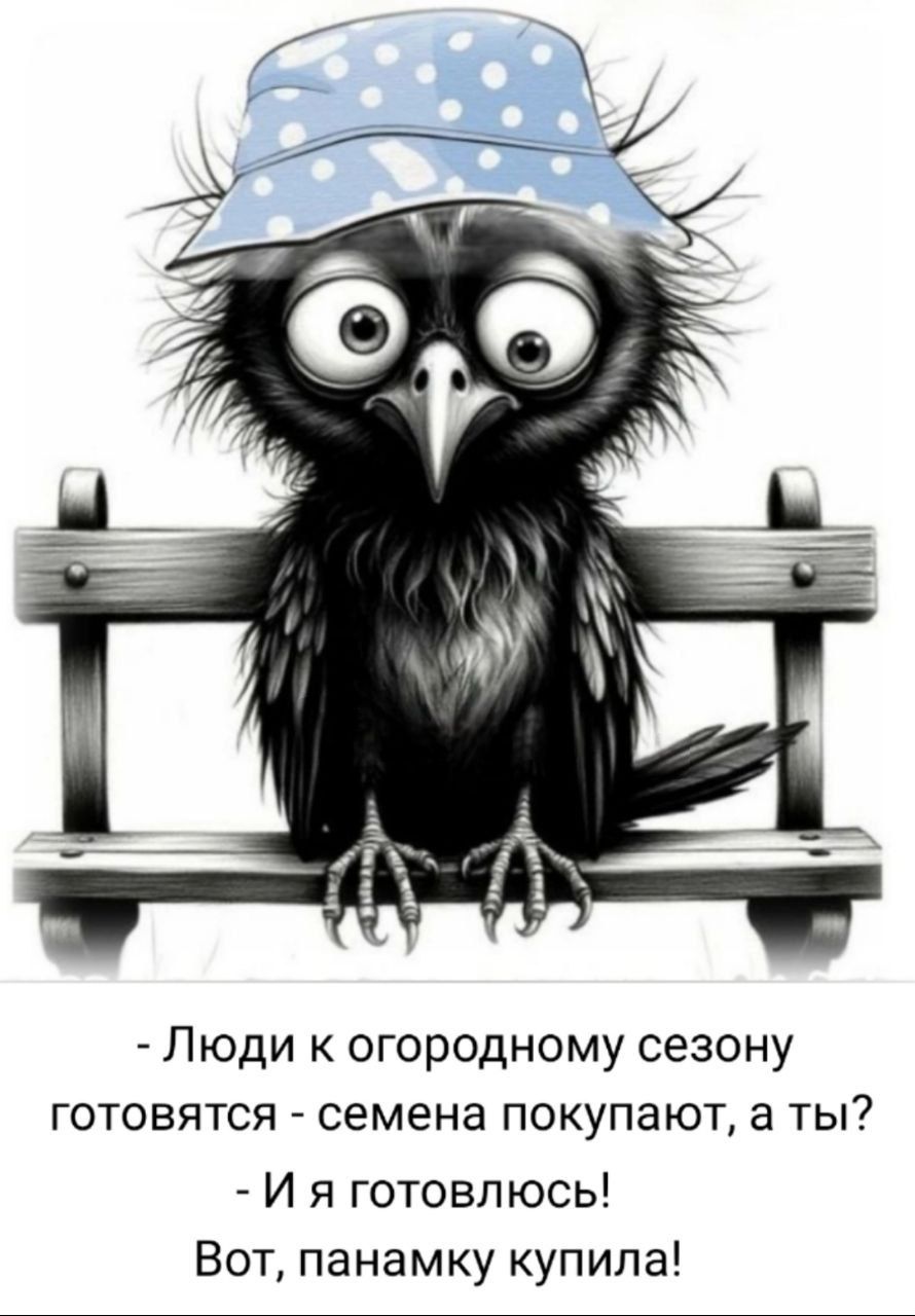 - Люди к огородному сезону готовятся - семена покупают, а ты?
- И я готовлюсь!
Вот, панамку купила!