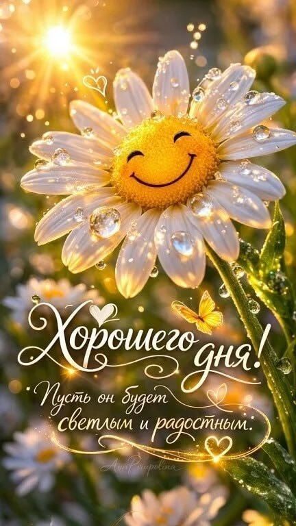 Хорошего дня! Пусть он будет светлым и радостным.
