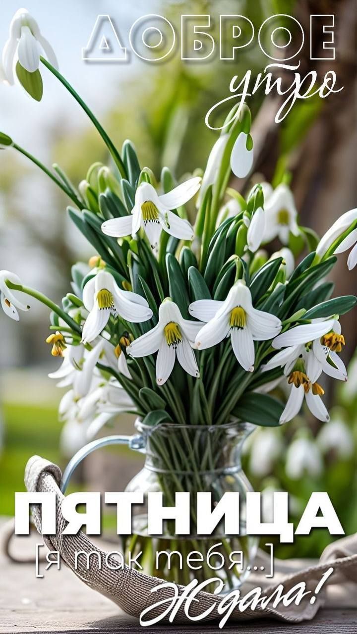 ДОБРОЕ утро ПЯТНИЦА [Я так тебя...] Ждала!