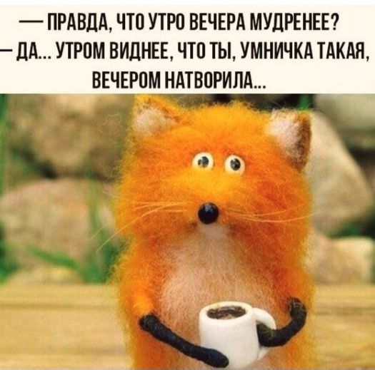— ПРАВДА, ЧТО УТРО ВЕЧЕРА МУДРЕНЕЕ?
— ДА... УТРОМ ВИДНЕЕ, ЧТО ТЫ, УМНИЧКА ТАКАЯ,
ВЕЧЕРОМ НАТВОРИЛА...