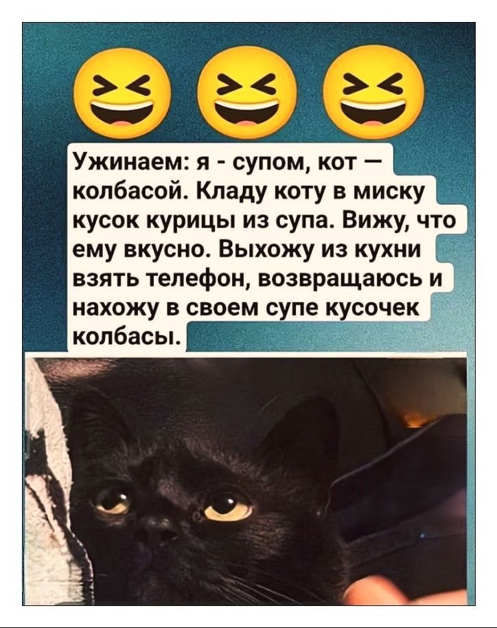 Ужинаем: я - супом, кот - колбасой. Кладу коту в миску кусок курицы из супа. Вижу, что ему вкусно. Выхожу из кухни взять телефон, возвращаюсь и нахожу в своем супе кусочек колбасы.