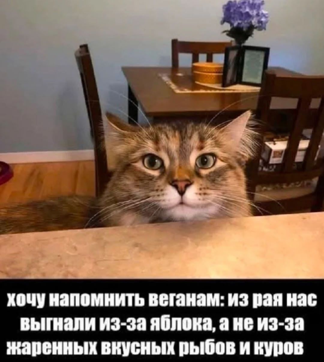 Хочу напомнить веганам: из рая нас выгнали из-за яблока, а не из-за жаренных вкусных рыбов и куров