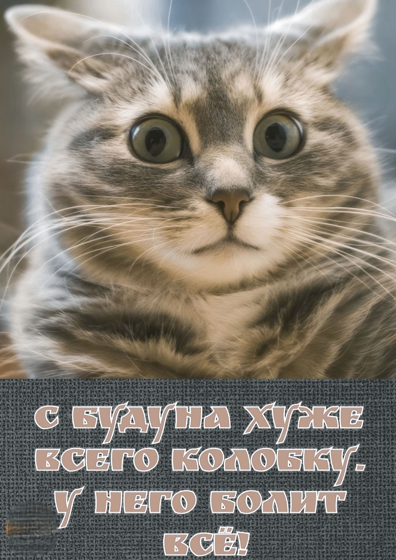 С БУДУНА ХУЖЕ ВСЕГО КОЛОБКУ. У НЕГО БОЛИТ ВСЁ!