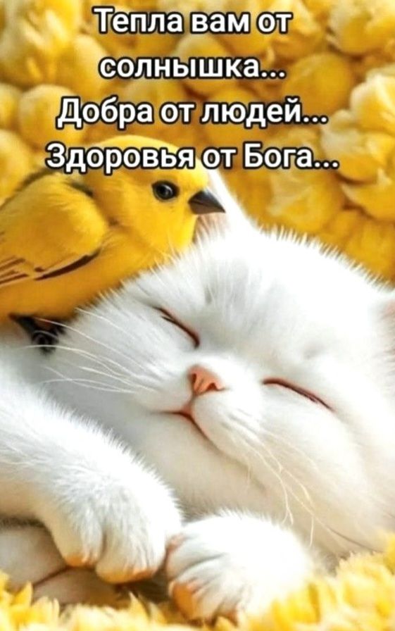 Тепла вам от солнышка... Добра от людей... Здоровья от Бога...
