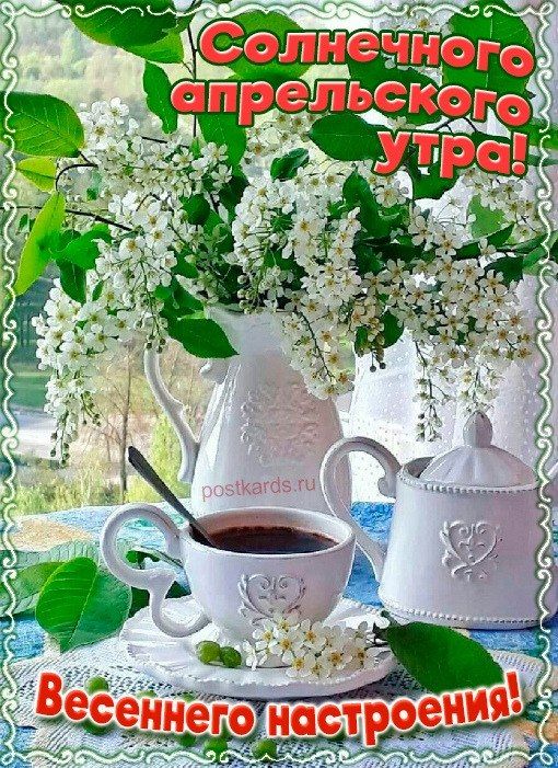 Солнечного апрельского утра! Весеннего настроения!