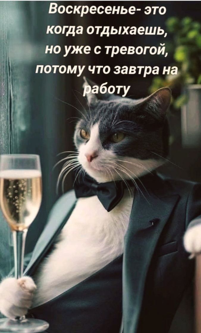 Воскресенье - это когда отдыхаешь, но уже с тревогой, потому что завтра на работу