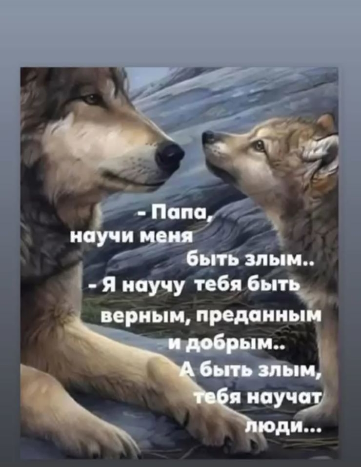 - Папа, научи меня быть злым.. Я научу тебя быть верным, преданным и добрым... А быть злым, тебя научат люди...