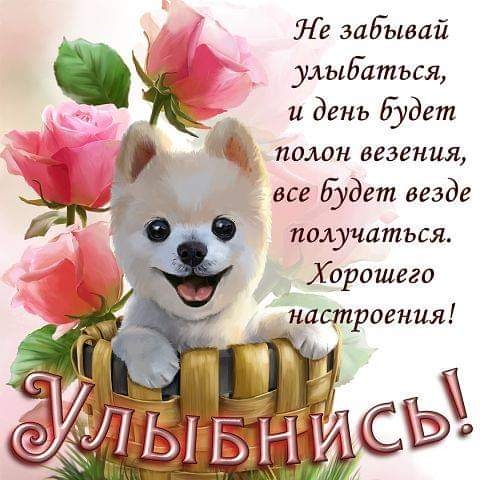 Не забывай улыбаться и день буд ет полон везения а все будет везде получаться 3 Хорошего