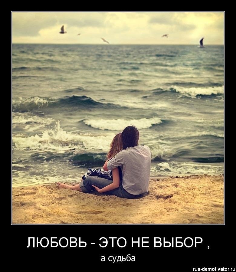 ЛЮБОВЬ ЭТО НЕ ВЫБОР а судьба и аетпіічпшщи