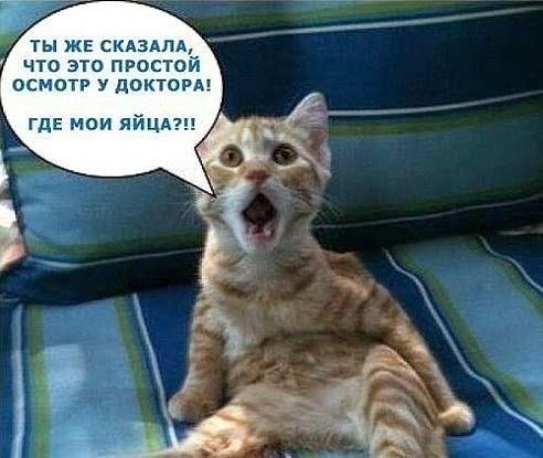 ты жв скдзАпА_ что это простой ОСМОТР У ЦОКТОРА гдЕ мои ЯЙЦА
